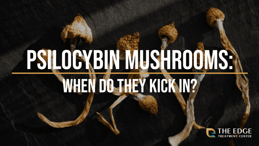 When Do Shrooms Kick In? Learn More About Psilocybin Mushrooms