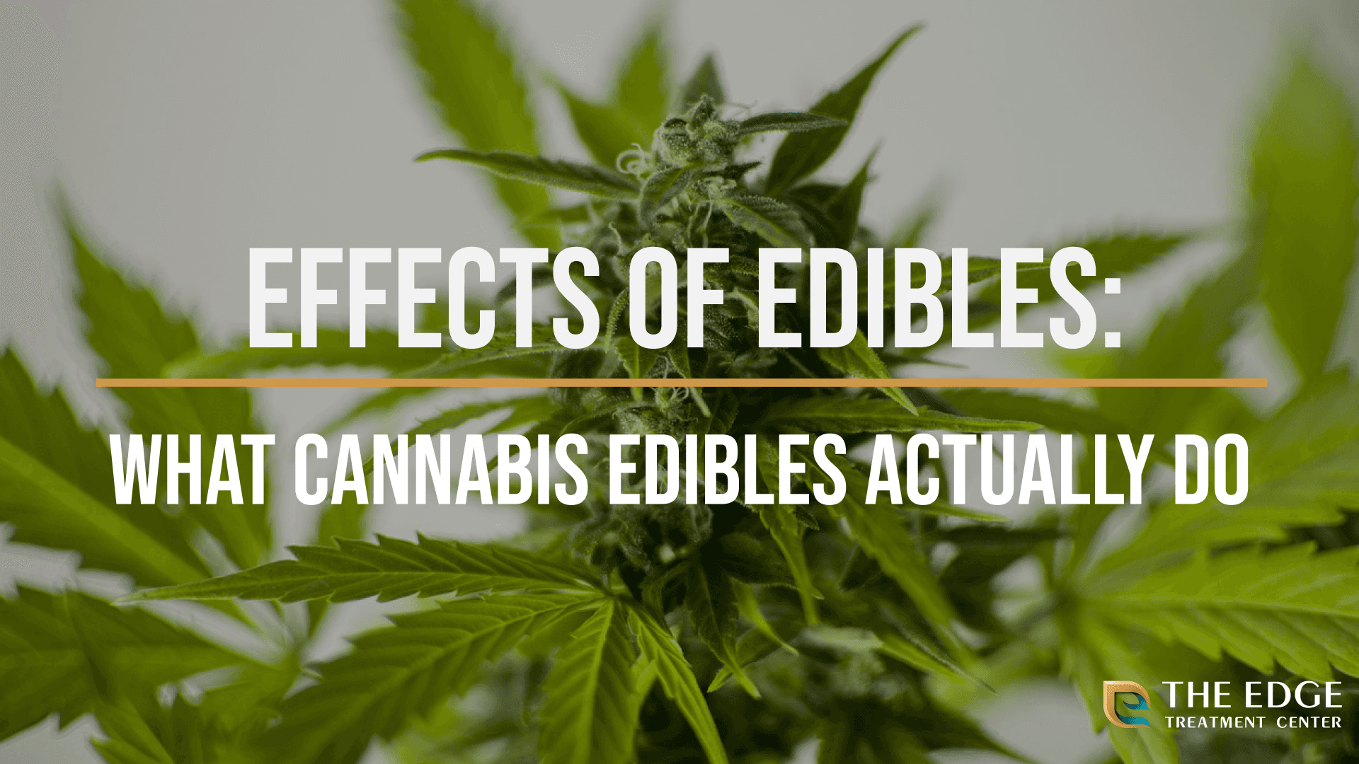 Effects of Edibles