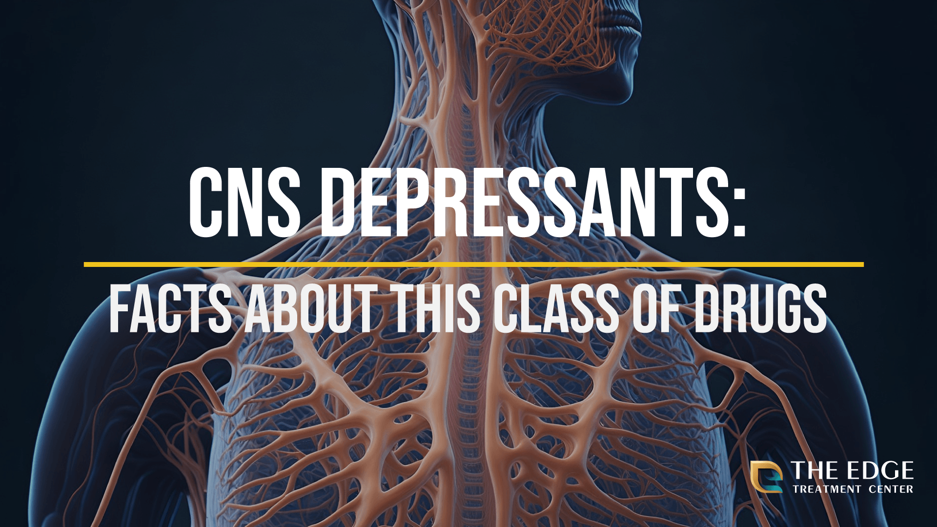 What are CNS Depressants?