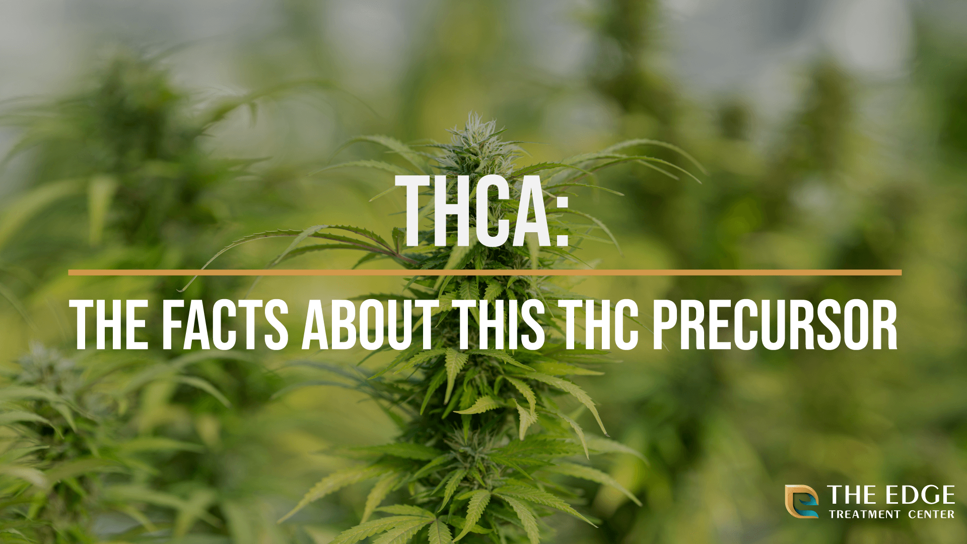 thca