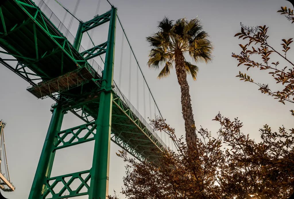 How Moving Away Helps You